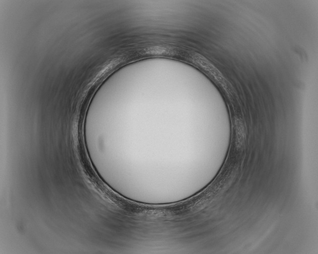 X0000111670482200908141432