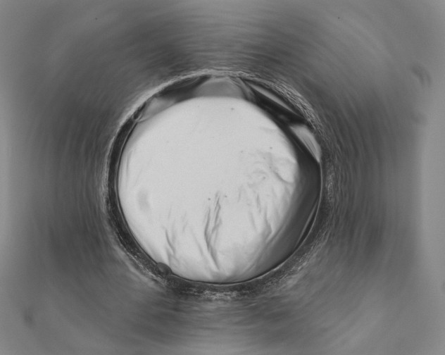 X0000111670484200908141432