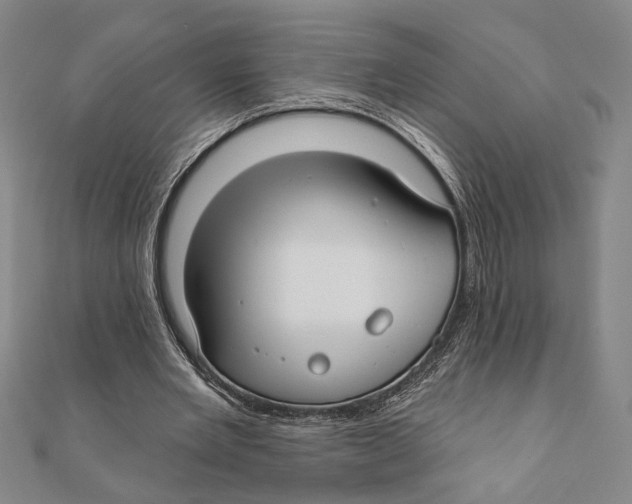 X0000111670485200908141432