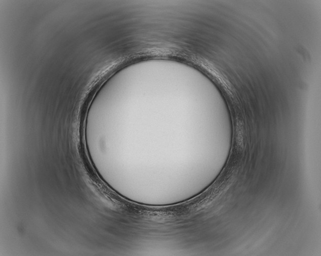 X0000111670486200908141432