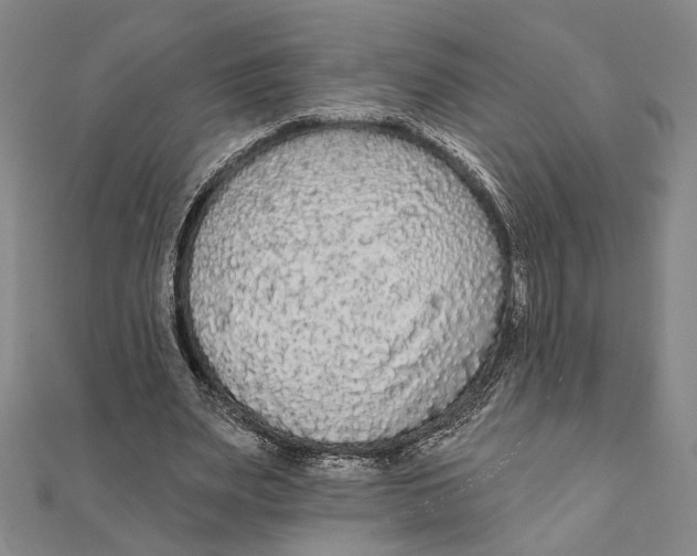 X0000111670487200908141432