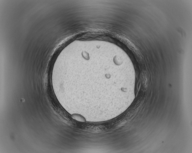 X0000111670488200908141432