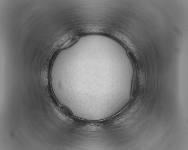 X0000111670489200908141432