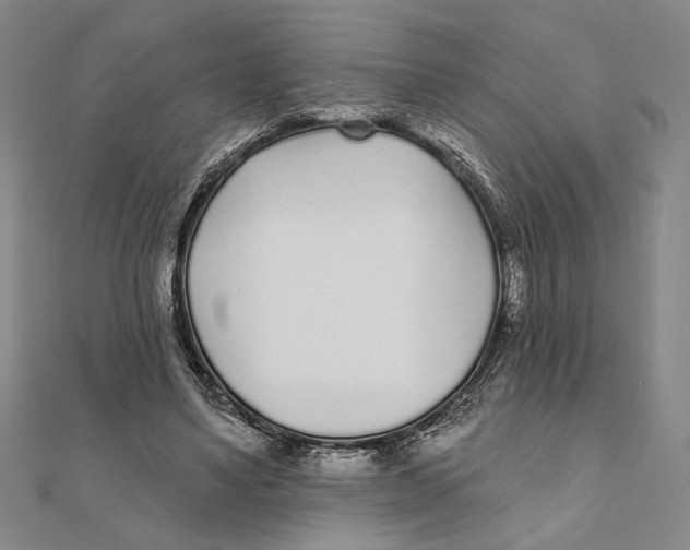 X0000111670491200908141432