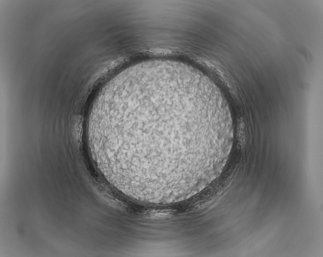 X0000111670495200908141432