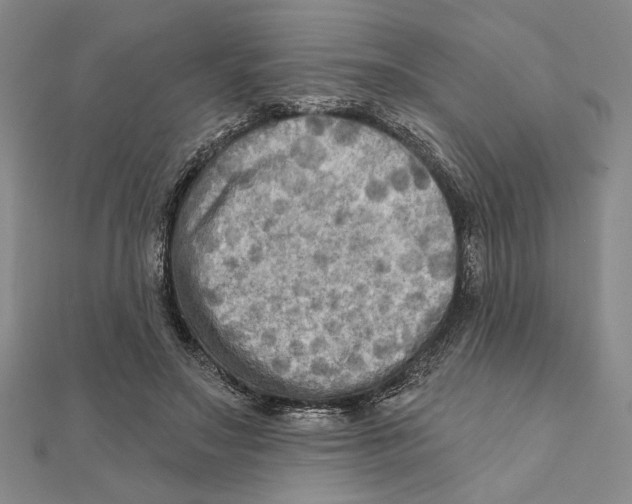 X0000111670499200908141432