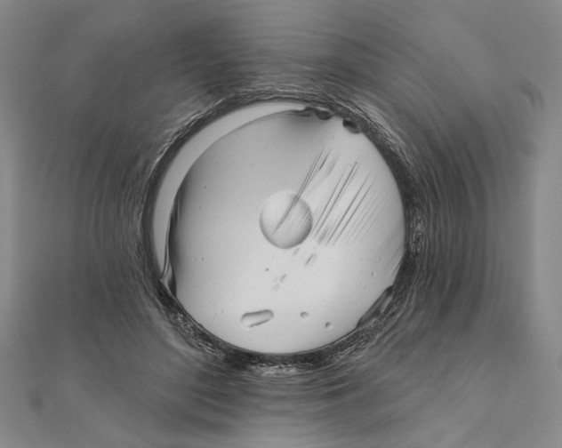 X0000111670500200908141432