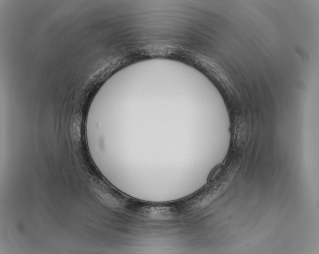 X0000111670501200908141432