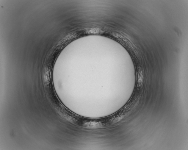 X0000111670503200908141432