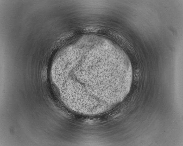 X0000111670504200908141432