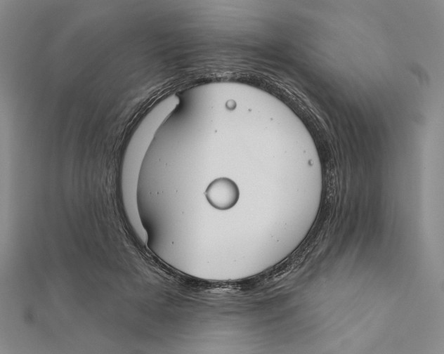 X0000111670505200908141432