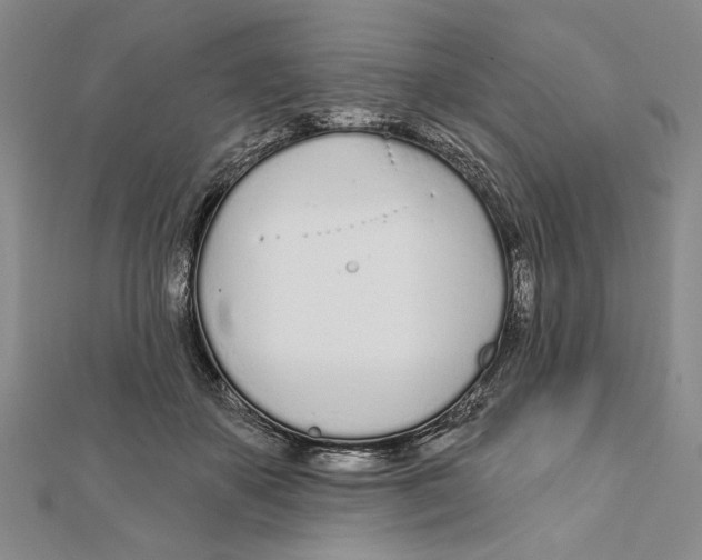 X0000111670507200908141431