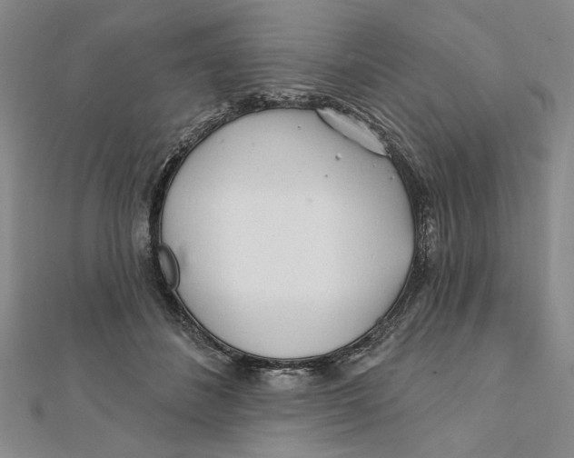 X0000111670508200908141431