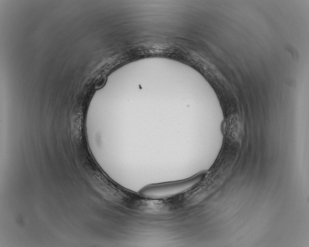 X0000111670509200908141431