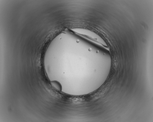 X0000111670512200908141431