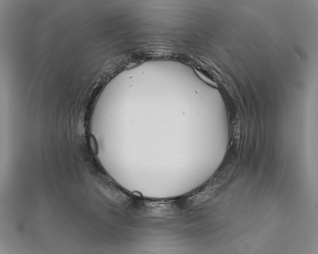 X0000111670516200908141431