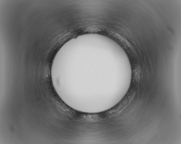 X0000111670517200908141431