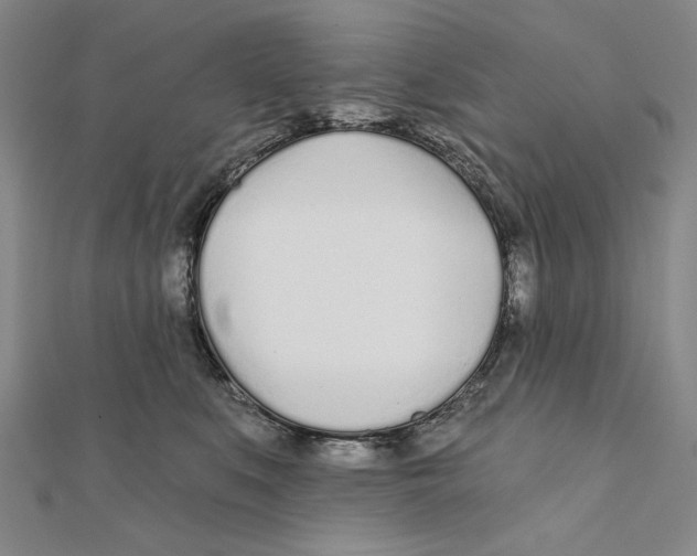 X0000111670519200908141431