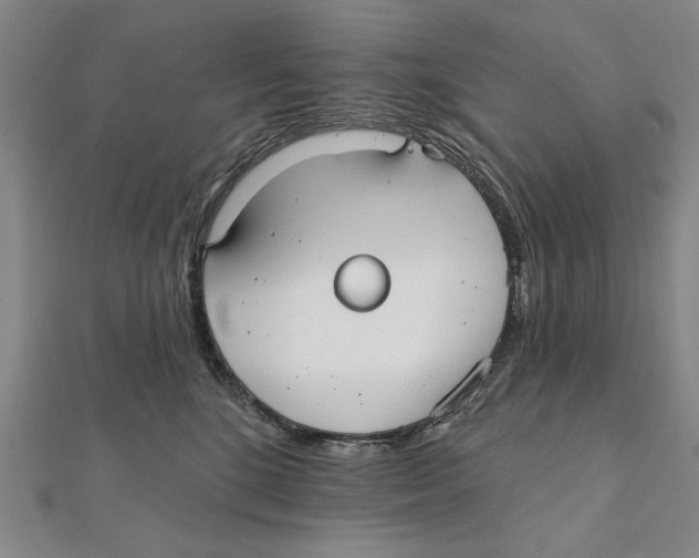 X0000111670520200908141431