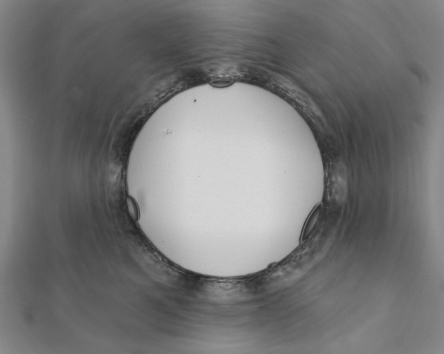 X0000111670521200908141431