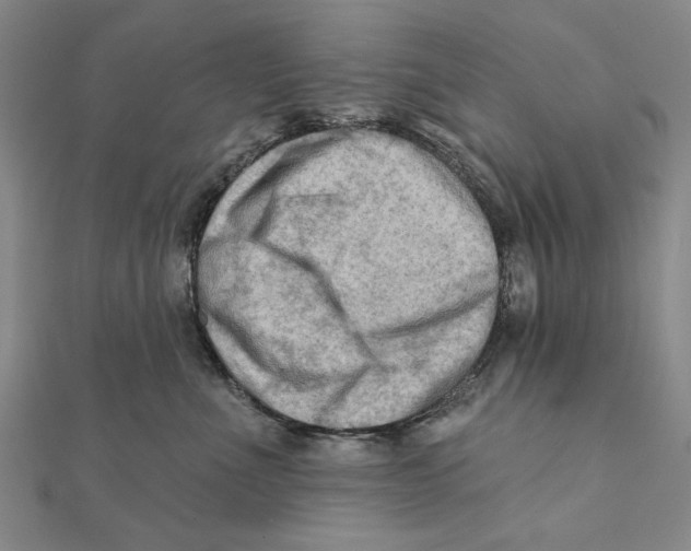 X0000111670523200908141431