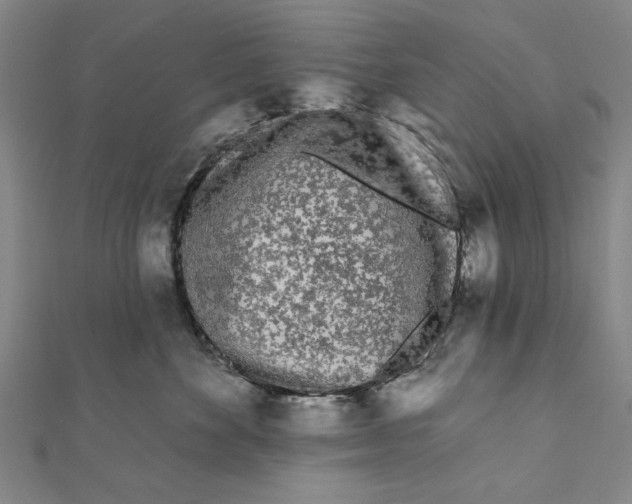 X0000111670524200908141431