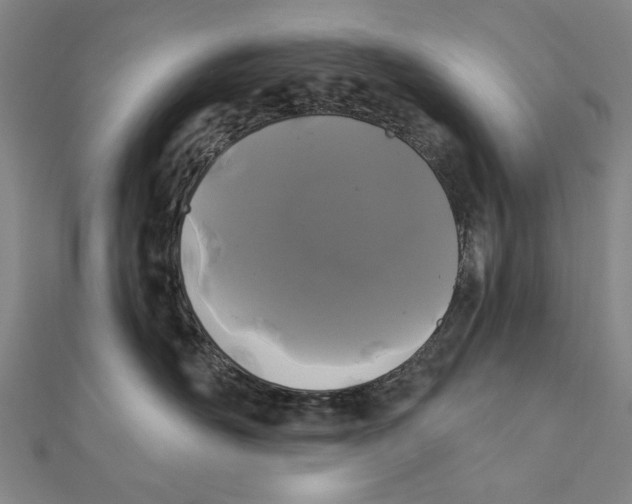 X0000111670526200908141431