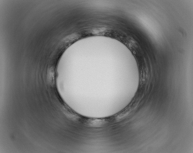 X0000111670527200908141431