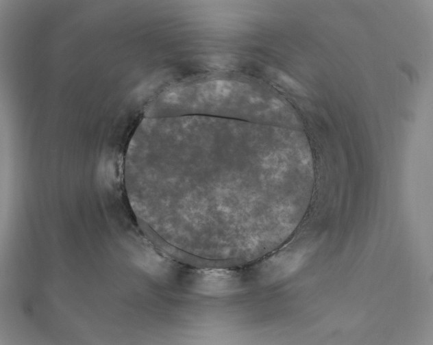 X0000111670528200908141431