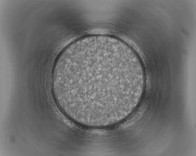 X0000111670529200908141431