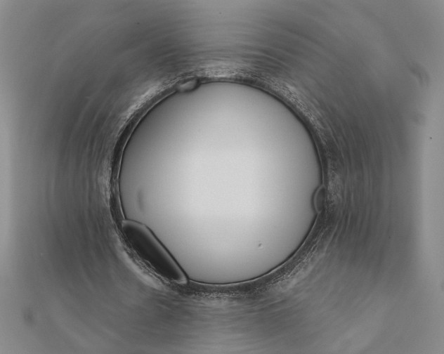 X0000111670530200908141431