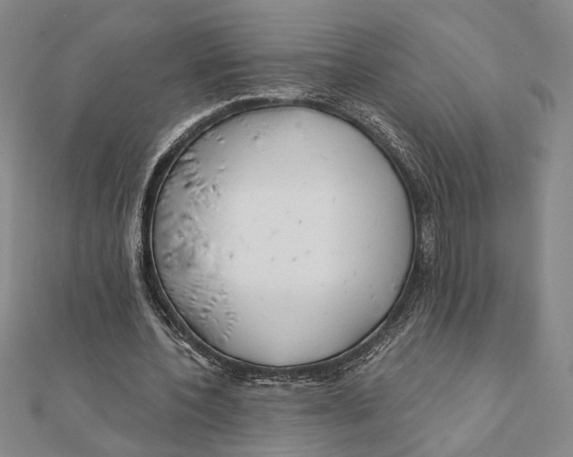 X0000111670532200908141431