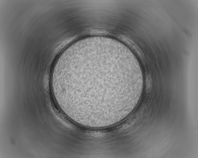 X0000111670533200908141431