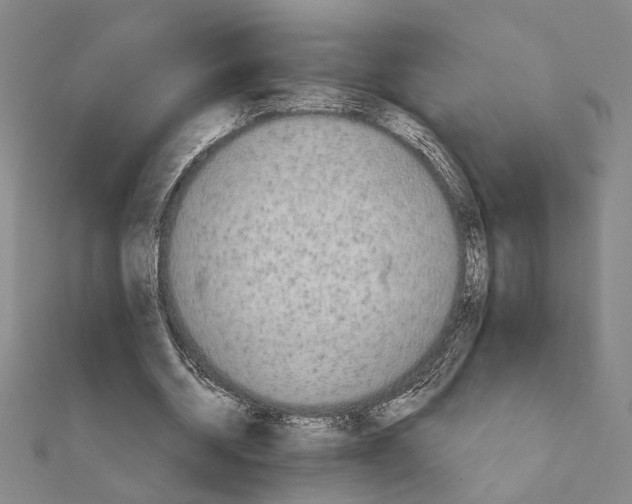 X0000111670534200908141431