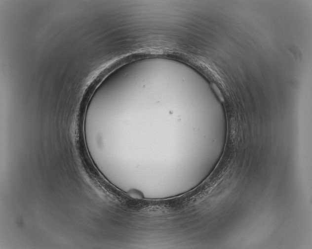 X0000111670536200908141431