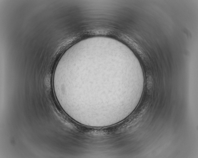 X0000111670537200908141431