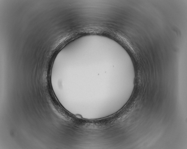 X0000111670538200908141431