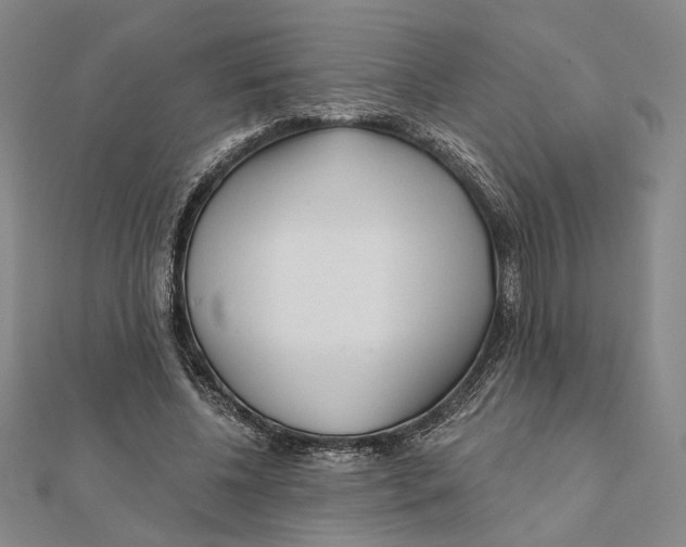 X0000111670540200908141431