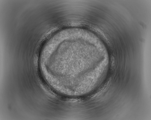 X0000111670542200908141431