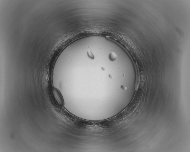 X0000111670544200908141431