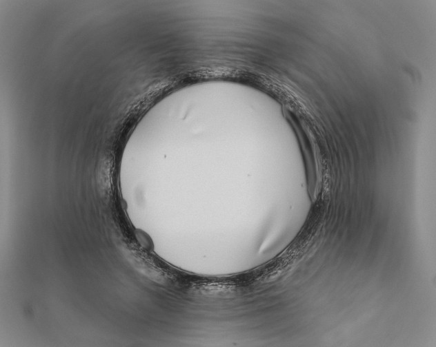 X0000111670546200908141431