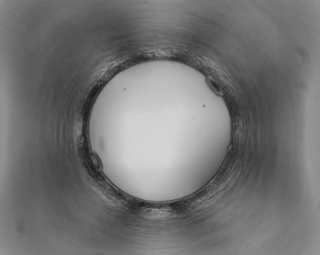 X0000111670548200908141431