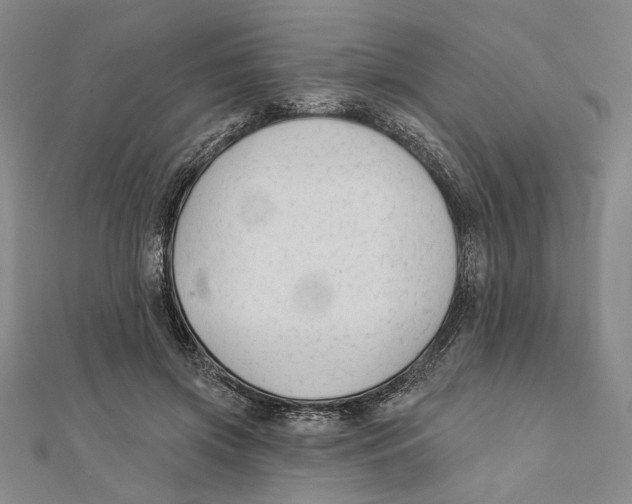 X0000111670549200908141431