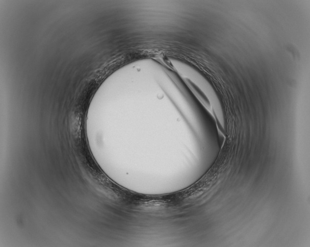 X0000111670551200908141431