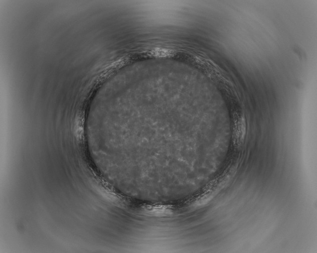 X0000111670553200908141431