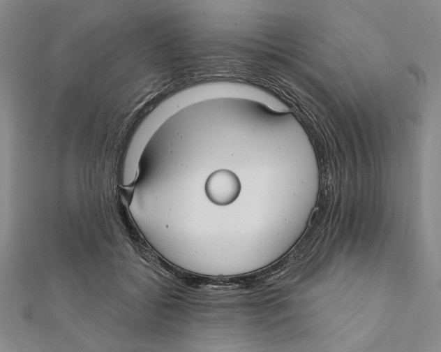 X0000111670556200908141431