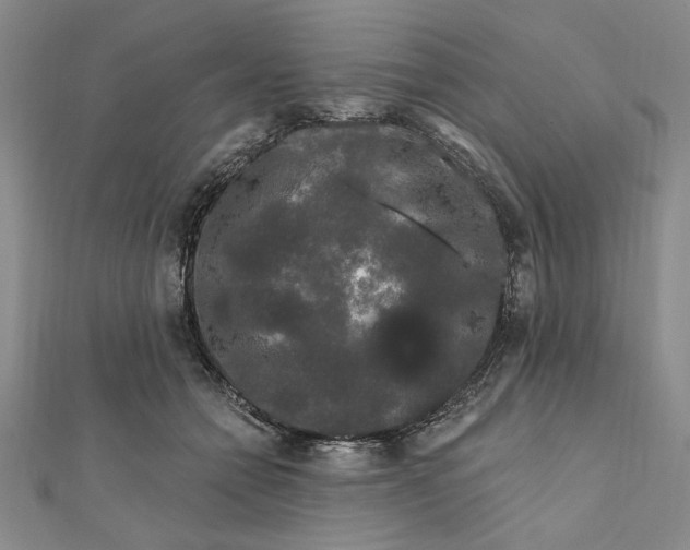 X0000111670558200908141431