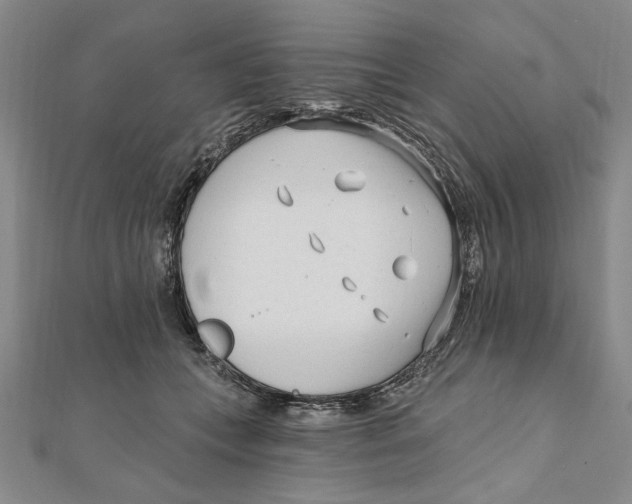 X0000111670559200908141431