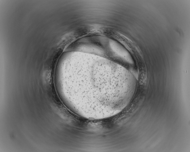 X0000111670560200908141431