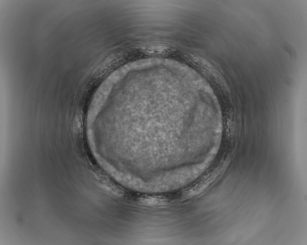 X0000111670561200908141431